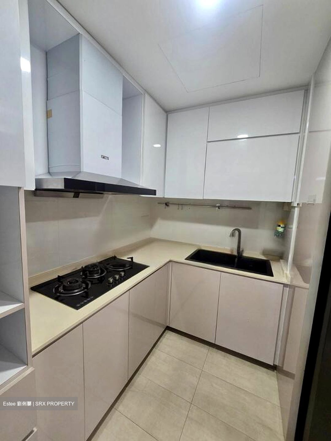 Hillview Green (D21), Condominium #464429301